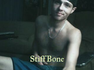 StiffBone