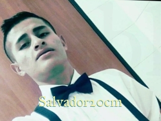 Salvador20cm