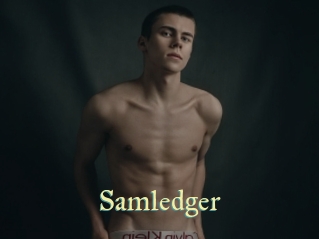 Samledger