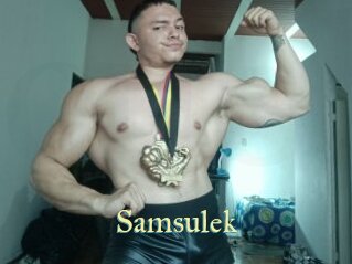 Samsulek