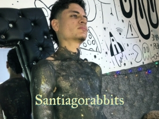 Santiagorabbits