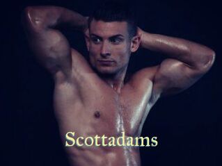 Scottadams