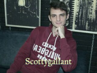 Scottygallant