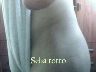 Seba_totto