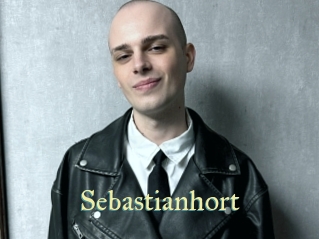 sebastianhort Cube Lille