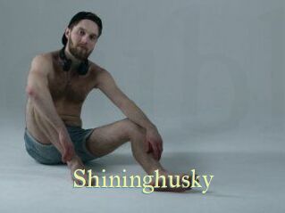 Shininghusky