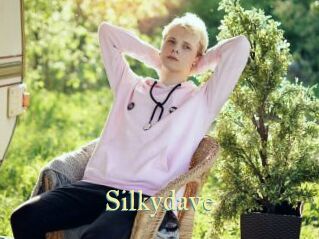 Silkydave