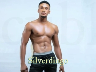 Silverdingo