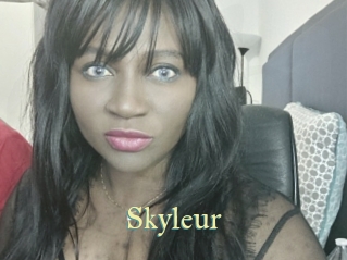 Skyleur