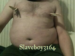 Slaveboy3164