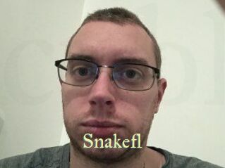 Snakefl