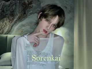 sorenkai Cube Lille
