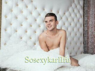 Sosexykarllfu