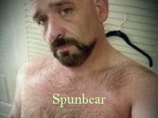 Spunbear