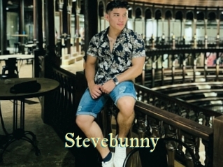 Stevebunny