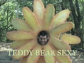 TEDDY_BEAR_SEXY
