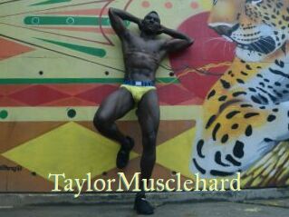TaylorMusclehard