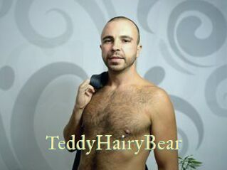 TeddyHairyBear