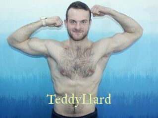 TeddyHard