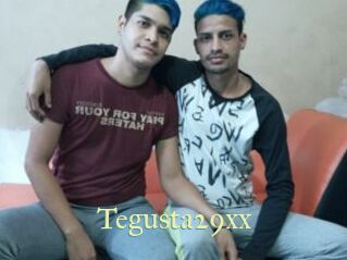 Tegusta29xx