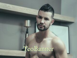 TeoBanner