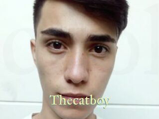 Thecatboy
