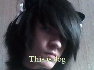 This_is_dog
