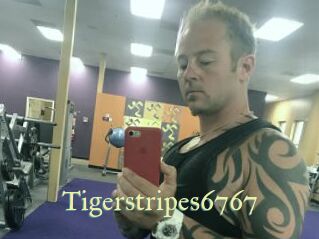 Tigerstripes6767