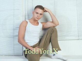 ToddYorkX
