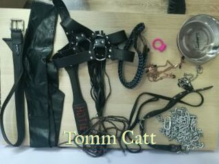 Tomm_Catt