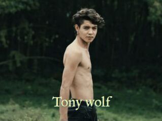 Tony_wolf