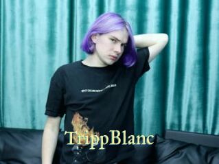 TrippBlanc Cube Lille