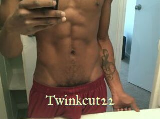 Twinkcut22