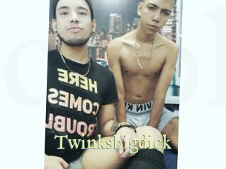 Twinksbigdick