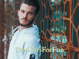 TwoGaysForFun
