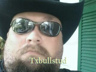 Txbullstud
