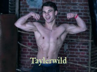 Taylerwild