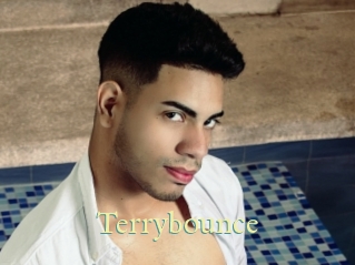 Terrybounce