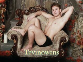 Tevinowens