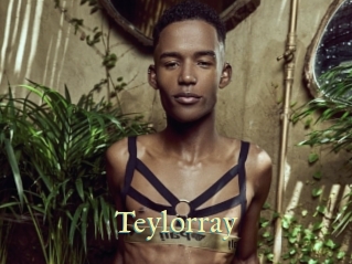 Teylorray