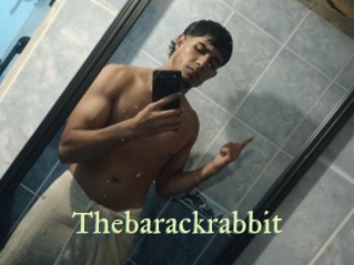 Thebarackrabbit