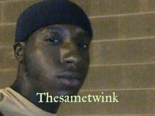 Thesametwink