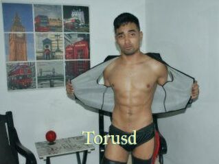 Torusd