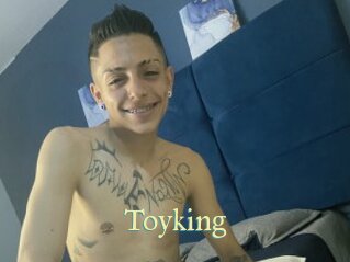Toyking