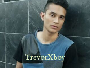 trevorXboy Cube Lille