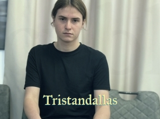 tristandallas Cube Lille