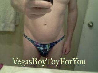 VegasBoyToyForYou