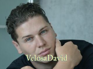 VelosaDavid