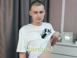 Vaneslinel