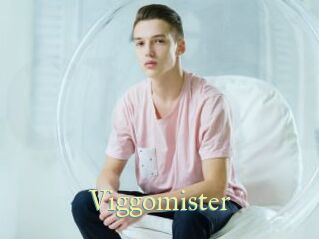 Viggomister